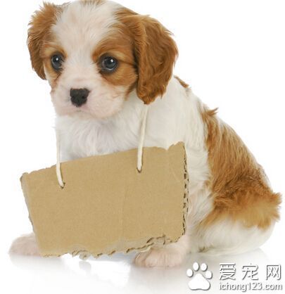 篮球运球训练计划表_0